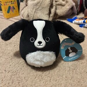 NWT Squishmallows black and white dog whose name is Nathaniel